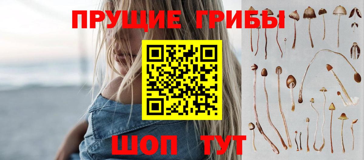 Галлюциногенные грибы GOLDEN TEACHER Ростов-на-Дону